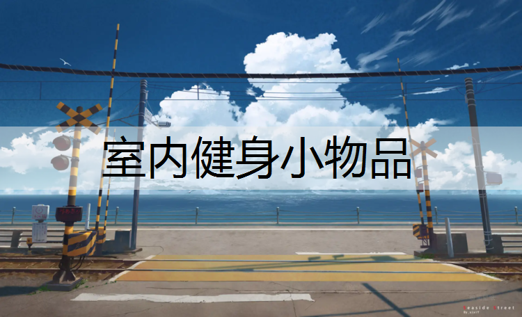 室内健身小物品