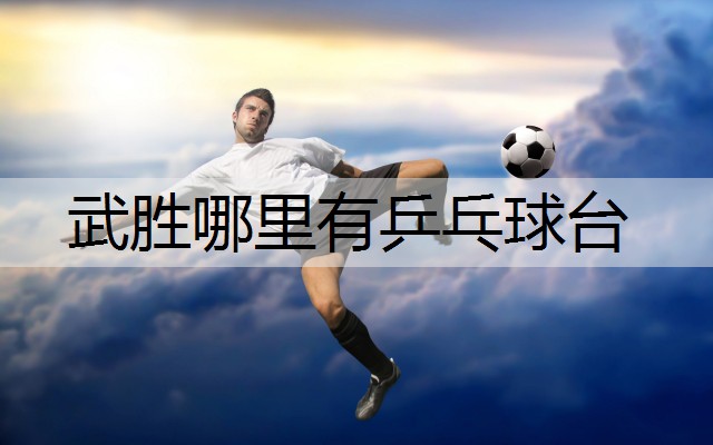 武胜哪里有乒乓球台