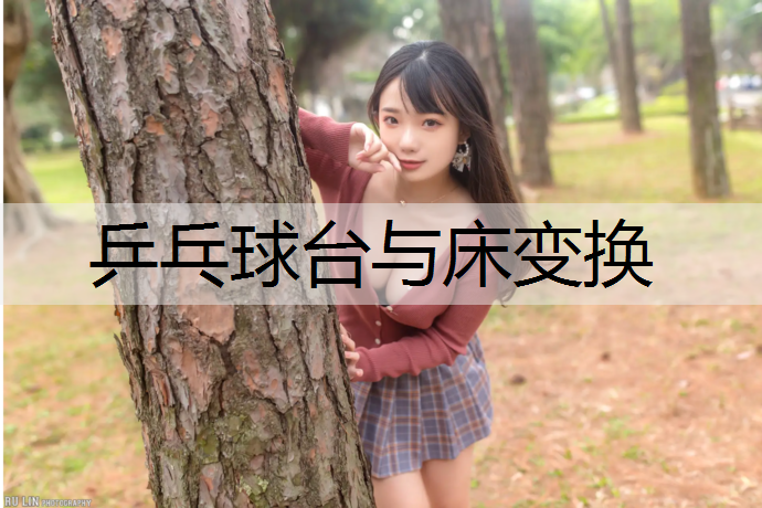 乒乓球台与床变换