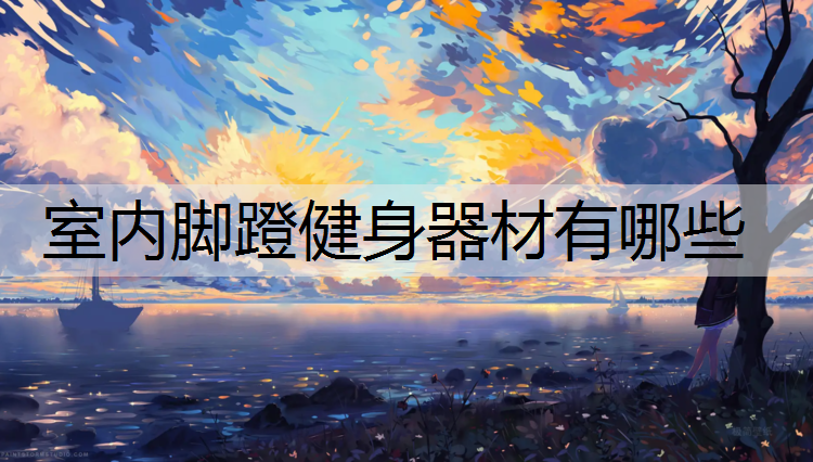 室内脚蹬健身器材有哪些