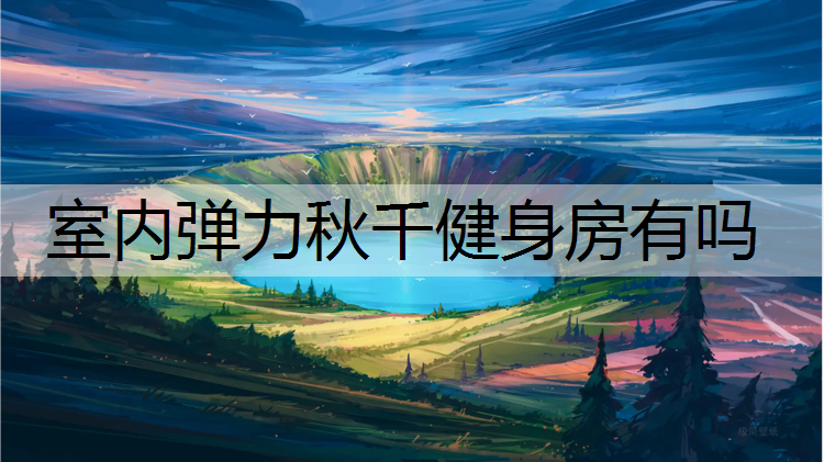 室内弹力秋千健身房有吗